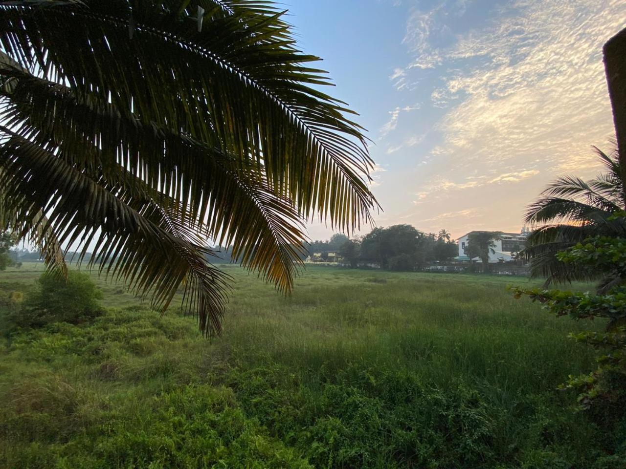 Green Field View Hotel Candolim Bagian luar foto